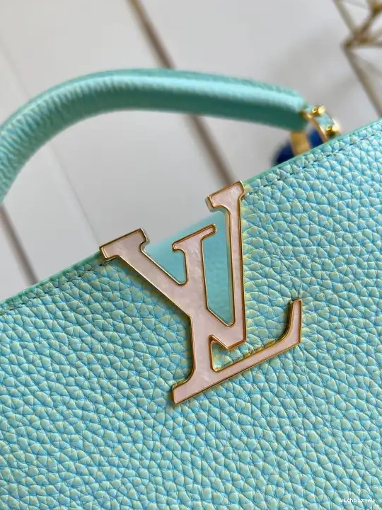 WIS BB VUITTON LOUIS CAPUCINES 0422